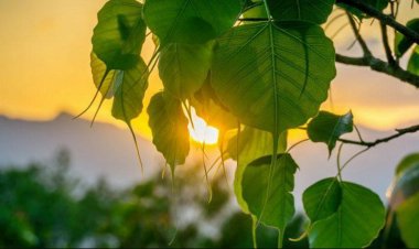 Khi tức giận, hãy đọc thầm 4 câu này