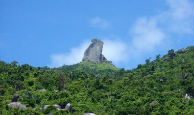 Du lịch núi Đá Bia, khám phá đỉnh cao hấp dẫn