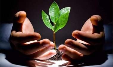 Toan tính là khởi đầu của sự nghèo đói