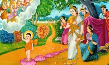 Tại sao Đức Phật chọn Đản sinh nơi rừng cây?