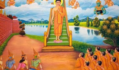 Để mình và người sống hạnh phúc cần tin nhân quả