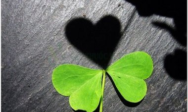 7 thói quen của người có cuộc sống không hạnh phúc