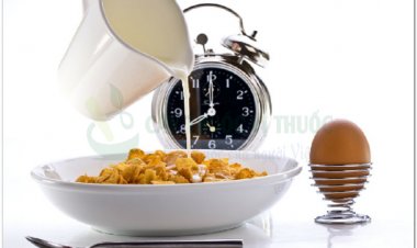 Hãy ăn ít thức ăn vào buổi tối và quán chiếu về cái chết