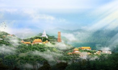 Khảo sát thực địa xây dựng chùa Tương Dương, Nghệ An