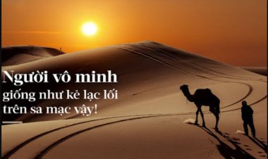 Vô minh là gì mà có khả năng mãnh liệt như thế?