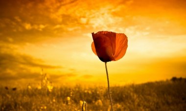 Đời người biết bỏ ngay thói quen xấu này thì gia đình phúc khí ngàn đời