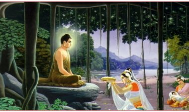 Bố thí cơm, nước, hoa, đèn thì nhận được phước báu gì