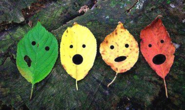 Mọi thứ xảy đến với chúng ta đều có NHÂN DUYÊN của nó