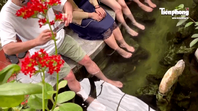 Vẻ đẹp nên thơ của làng cổ Việt Hải của Hải Phòng