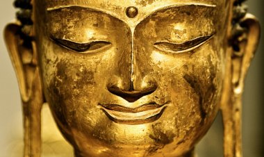 Lời Phật dạy: Có hai hạng người lo toan ở đời