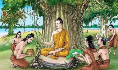 Đức Phật đã luân hồi bao nhiêu kiếp trước khi chứng đạo?