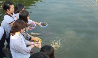 Sao không để tài vật cho người nghèo khổ, Tại sao chọn phóng sinh?