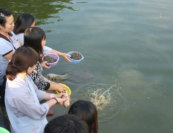 Sao không để tài vật cho người nghèo khổ, Tại sao chọn phóng sinh?