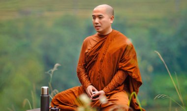 'Khổ đau đôi khi không vô nghĩa hoàn toàn'