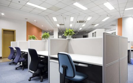 Áp dụng triết lý phong thủy hơn 2000 năm để bài trí nơi làm việc: Tăng vận may kinh doanh, sự nghiệp thăng tiến vượt bậc trong năm 2023