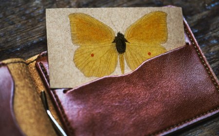 Dùng 3 điều này để tận hưởng cuộc sống một mình, vận may tìm đến lúc nào không hay