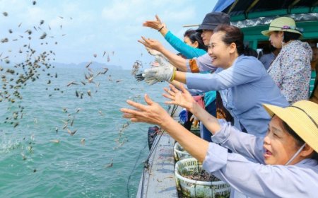 Nhà chùa xin hãy đừng tổ chức nghi lễ phóng sinh nữa