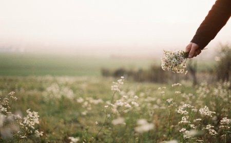 13 thói quen của người biết cách sống Chất lượng rèn luyện một lần có lợi cả đời