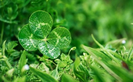 8 THUẬT NHÌN NGƯỜI THẤU ĐƯỢC NỘI TÂM CHÍNH XÁC