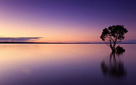 NƯỚC SÂU SÓNG LẶNG NGƯỜI HỌC RỘNG THÌ ĂN NÓI TỪ TỐN