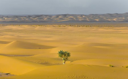 DÙ CUỘC SỐNG HIỆN TẠI NHƯ THẾ NÀO TRONG PHẦN ĐỜI CÒN LẠI XIN BẠN HÃY DŨNG CẢM VÀ VỮNG VÀNG