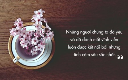 CẢM ƠN NHỮNG NGƯỜI CHẾ NHẠO CHÊ BAI BẠN VÌ HỌ ĐÃ LÀM BẠN TRỞ NÊN MẠNH MẼ