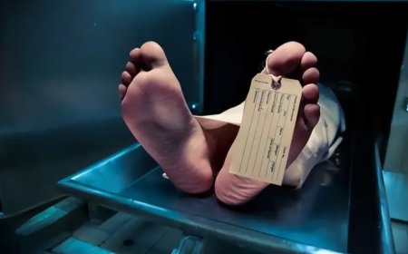 Phát hiện mới nhất: Tất cả hài cốt đều có một điểm chung kỳ lạ, bất kể hoàn cảnh nào cũng xảy ra điều này!