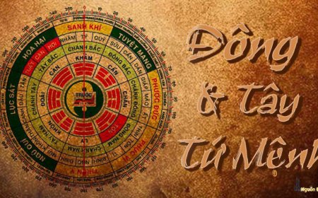 TRÍ TUỆ KINH DỊCH- PHONG THUỶ CÓ THỰC SỰ THAY ĐỔI VẬN KHÍ CẢI BIẾN CUỘC SỐNG CỦA MỘT NGƯỜI