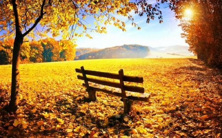 TÂM TRẠNG CỦA BẠN ĐANG LO LẮNG, NÓNG NẢY HAY MÊ MỜ CHƯA TÌM RA LỐI THOÁT HÃY NGHE THỬ 4 CÂU NÓI SAU