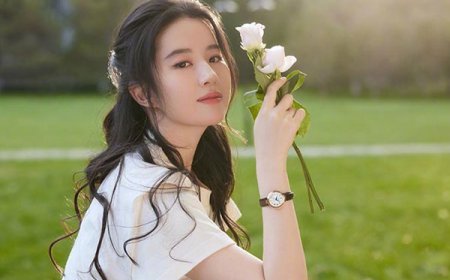 Trẻ Không Vất Vả, Già Càng Gian Nan: 4 Bí Quyết Vàng Cho Tương Lai Thảnh Thơi Trước Tuổi 40