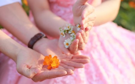 9 Bài Học Sống Ngược Đời: Khám Phá Chìa Khóa Hạnh Phúc Thực Sự