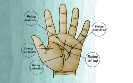 Bí mật vận mệnh cuộc đời đằng sau đường chỉ tay
