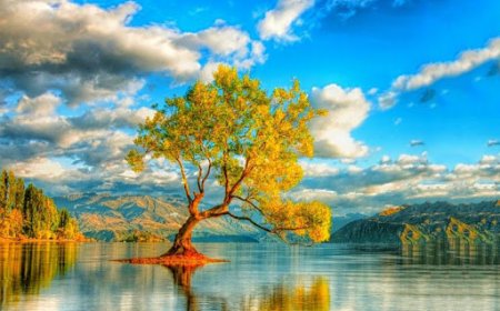 ĐỜI NGƯỜI NGẮN NGỦI: ĐÂY LÀ NHỮNG ĐIỀU BẠN CẦN PHẢI BIẾT CÀNG SỚM CÀNG TỐT ĐỂ SỐNG MÀ KHÔNG HỐI TIẾC