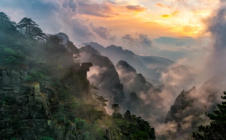 Biến Nghịch Cảnh Thành Bệ Phóng: Từ Bi và Kiên Trì Đạt Thành Công