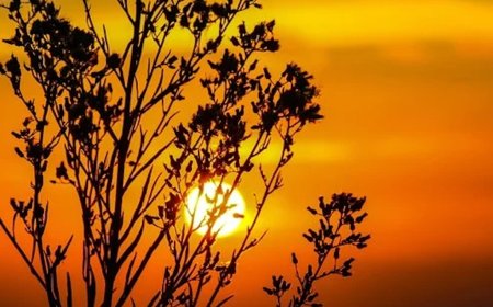 13 ĐIỀU DÙ BẠN LÀ AI CŨNG NÊN NGHE ĐỪNG ĐỂ KHI 'GẦN ĐẤT XA TRỜI' RỒI MỚI HỐI TIẾC