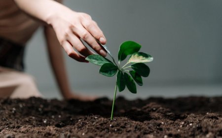 Ba Dấu Hiệu Của Sự Bất Hiếu Mà Mọi Cha Mẹ Cần Biết