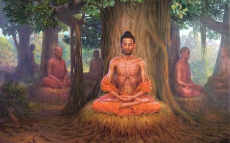 Ai Có Thể Thực Hành Theo 13 Hạnh Đầu Đà