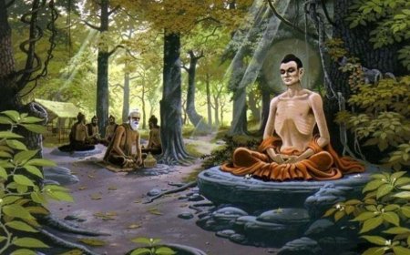 Khó Khăn Và Thử Thách Khi Tu Học Theo 13 Hạnh Đầu Đà Trong Đạo Phật