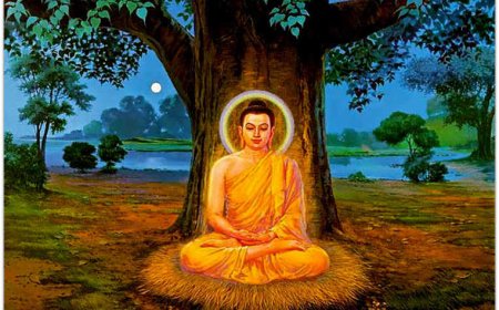 13 Hạnh Đầu Đà Và Thiền Định