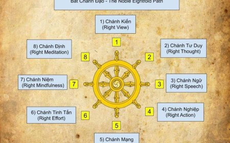 Giới Thiệu Về Các Bài Kinh Liên Quan Đến Bát Chánh Đạo