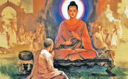 Khám Phá Hạnh Đầu Đà Và Các Pháp Tu Khác Trong Đạo Phật: Con Đường Đến Giác Ngộ Và Giải Thoát