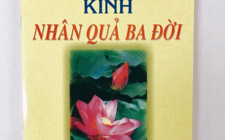 Giới Thiệu Kinh Nhân Quả Ba Đời