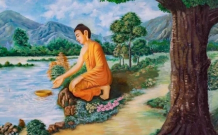 Chi Tiết Về Hạnh Nhất Tọa Thực (Sapatikanga)