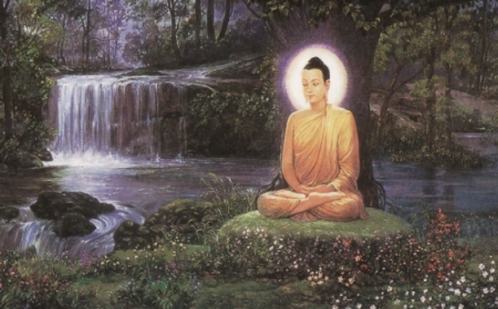 Chi Tiết Về Hạnh Cư Xứ Nhàn Tịnh (Arannikanga)