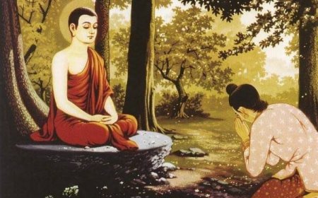 Chi Tiết Về Hạnh Cư Trú Dưới Gốc Cây (Rukkhamulikanga)