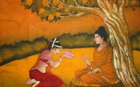 Chi Tiết Về Hạnh Ăn Cơm Không Chọn Lựa (Khalupacchabhattikanga)