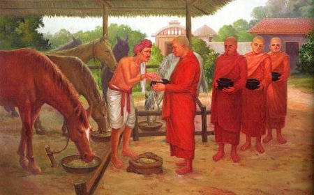 Chi Tiết Về Hạnh Ăn Cơm Trong Bát Duy Nhất (Ekasanikanga)