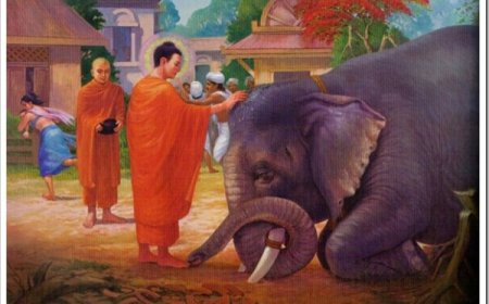 Tu Tập Tâm Từ: Ma Quỷ Không Thể Hại Được