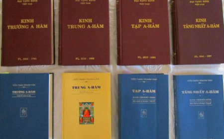 Giới Thiệu Tổng Quan Về Kinh A Hàm