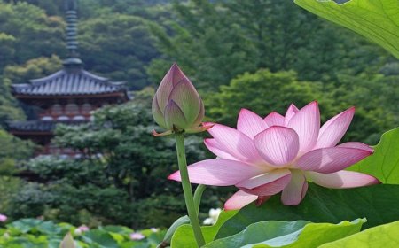 TÂM MỆT THÌ ĐỜI MỆT BỎ ĐI GÁNH NẶNG TƯ TƯỞNG CON THUYỀN CUỘC ĐỜI CẦN CHỞ NHẸ